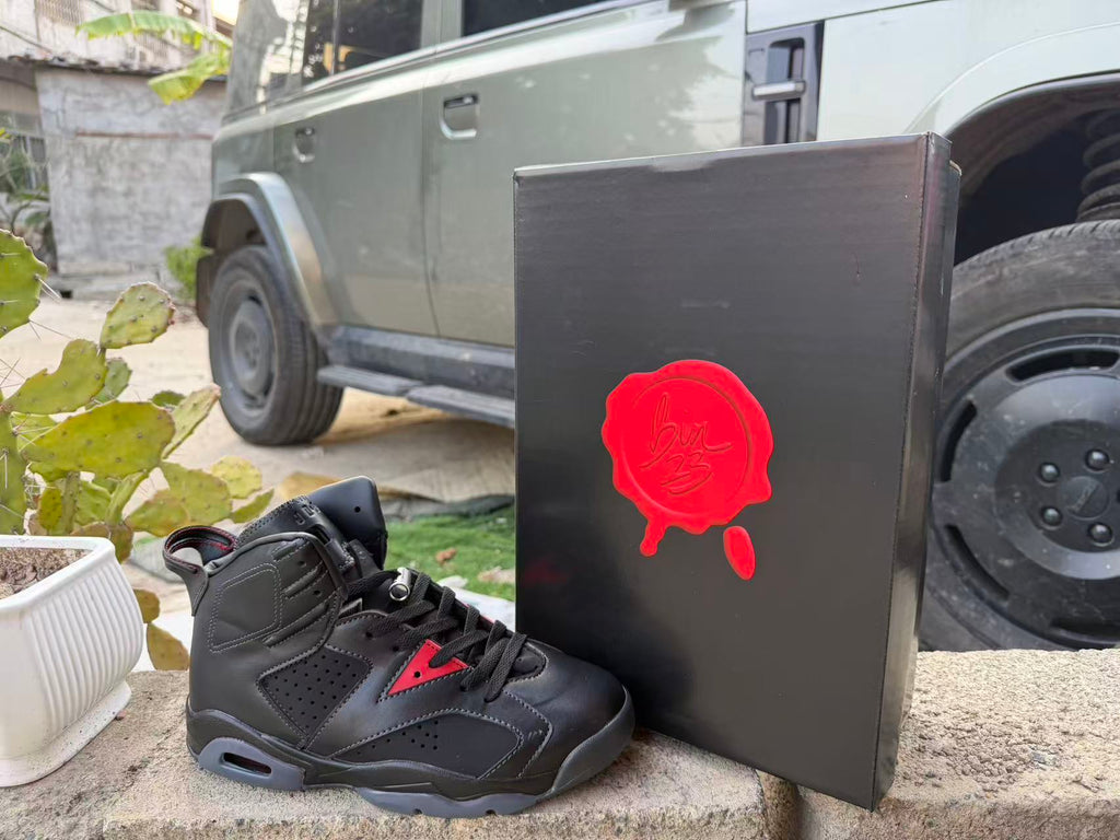 Air Jordan 6 Sneakers