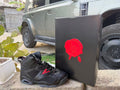 Air Jordan 6 Sneakers
