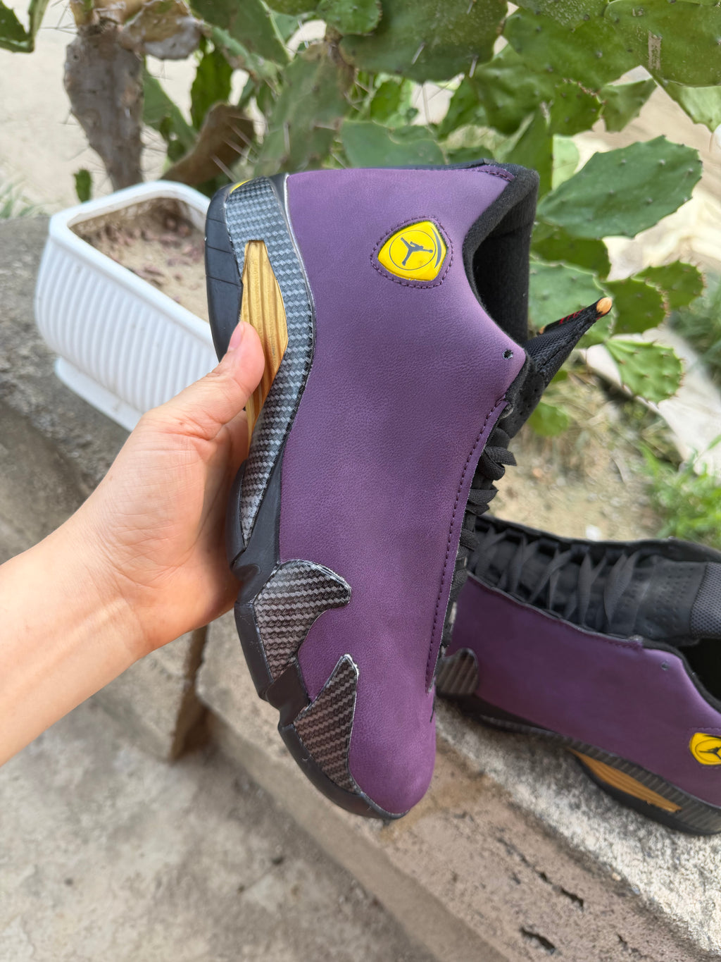 Air Jordan 14 - Purple / Black